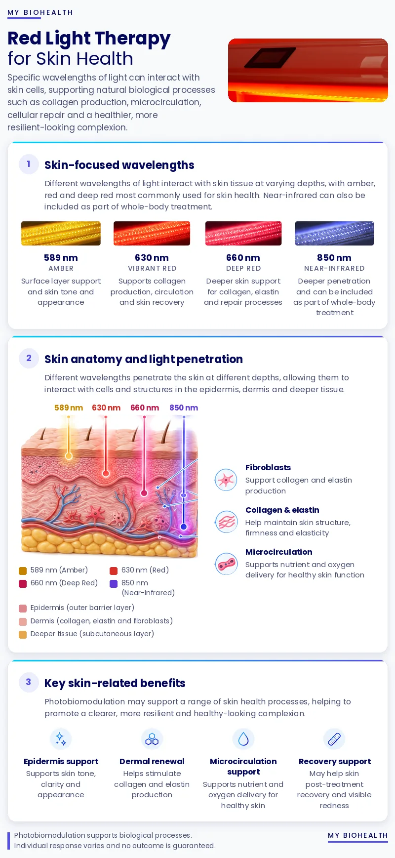 Infographic of red light for skin: skin-focused wavelengths, the epidermis and dermis with fibroblasts, collagen and microcirculation, and key skin-related processes