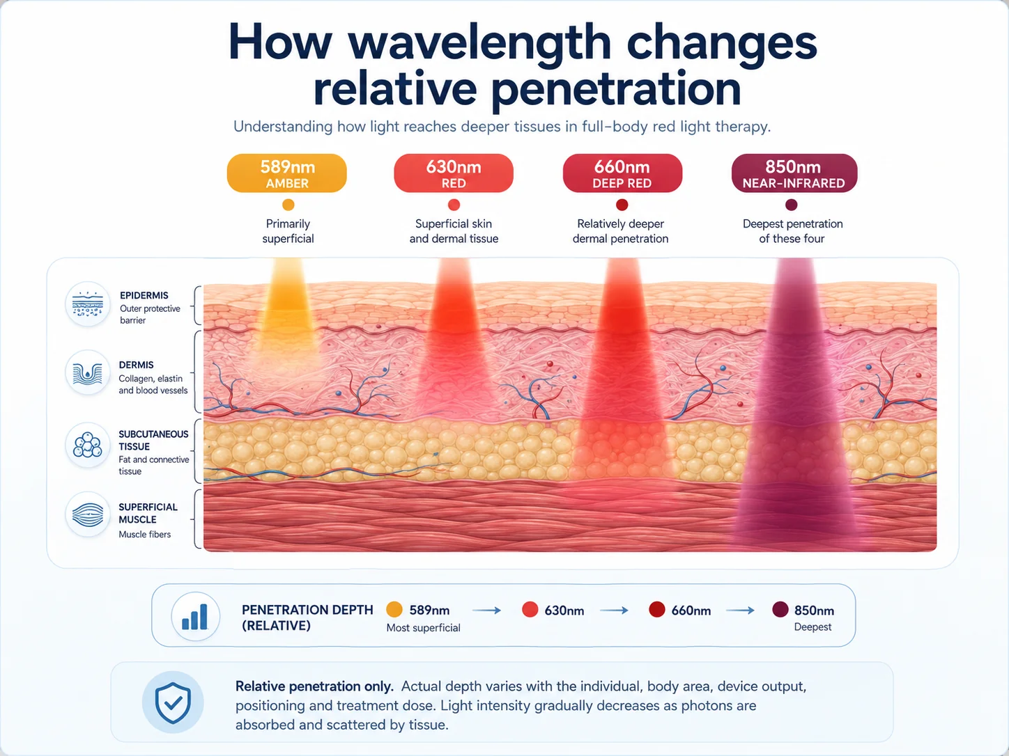 Diagram showing the relative tissue penetration of My BioHealth red light therapy wavelengths 589 nm, 630 nm, 660 nm and 850 nm through skin, subcutaneous tissue and superficial muscle